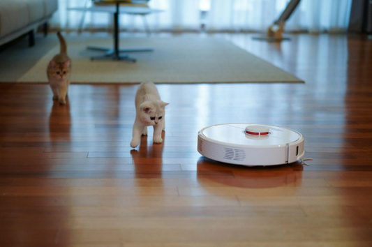 Two kittens curiously approaching a robot vacuum working on a wooden floor